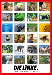 Plakat LAG Tierschutz NRW