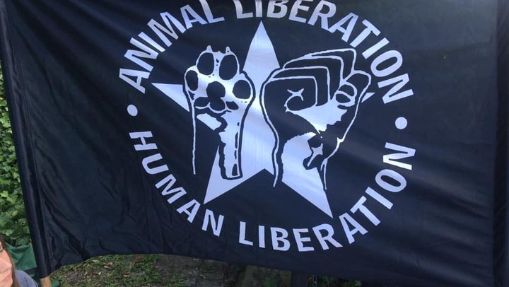 LAG Tierschutz DIE LINKE. NRW goes Animal Rights March Köln 2019 LAG Tierschutz DIE LINKE. NRW goes Animal Rights March Köln 2019